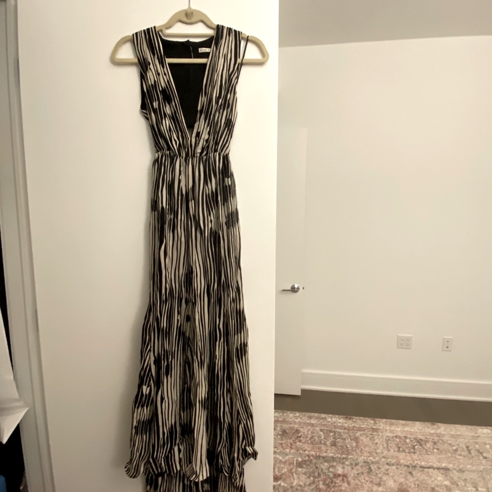 Alice and Olivia HighLow dress